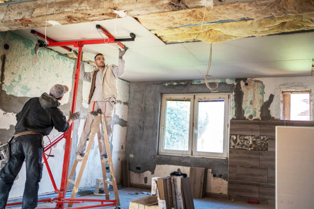 Best Insulation Repair Services  in Mason, MI